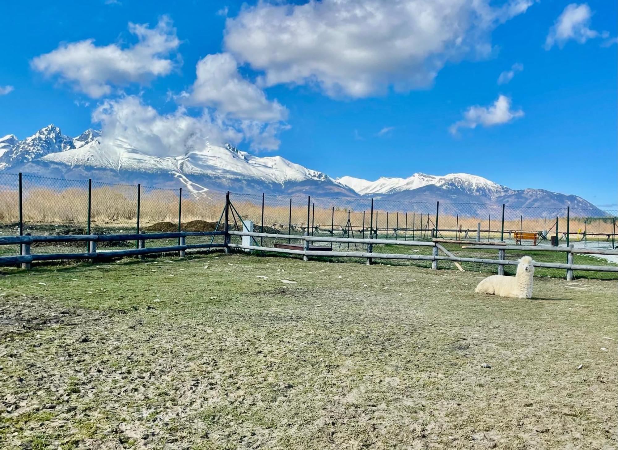 ולקה לומניקה Apartment Kimo - Stunning View Of High Tatras מראה חיצוני תמונה