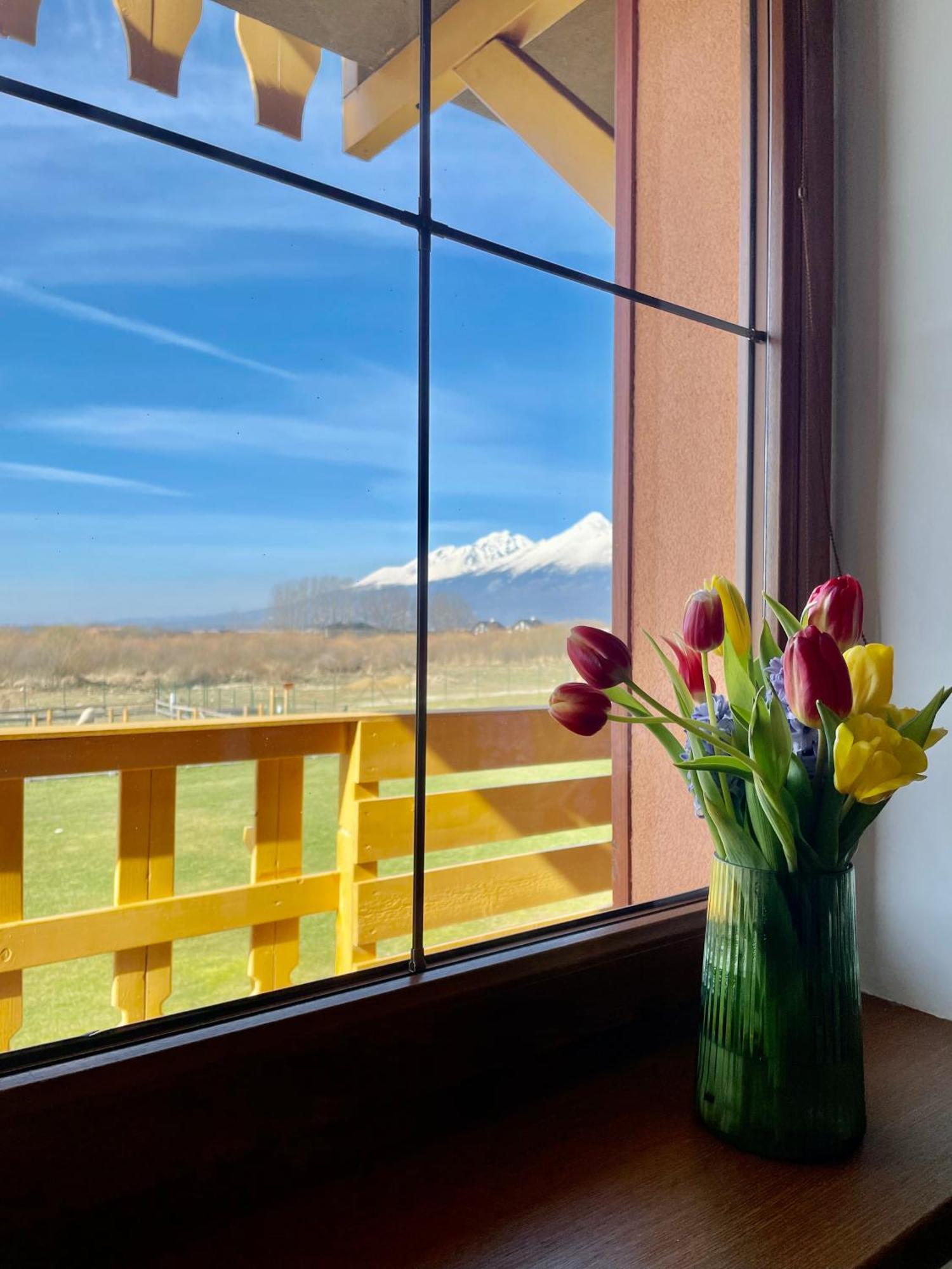 ולקה לומניקה Apartment Kimo - Stunning View Of High Tatras מראה חיצוני תמונה