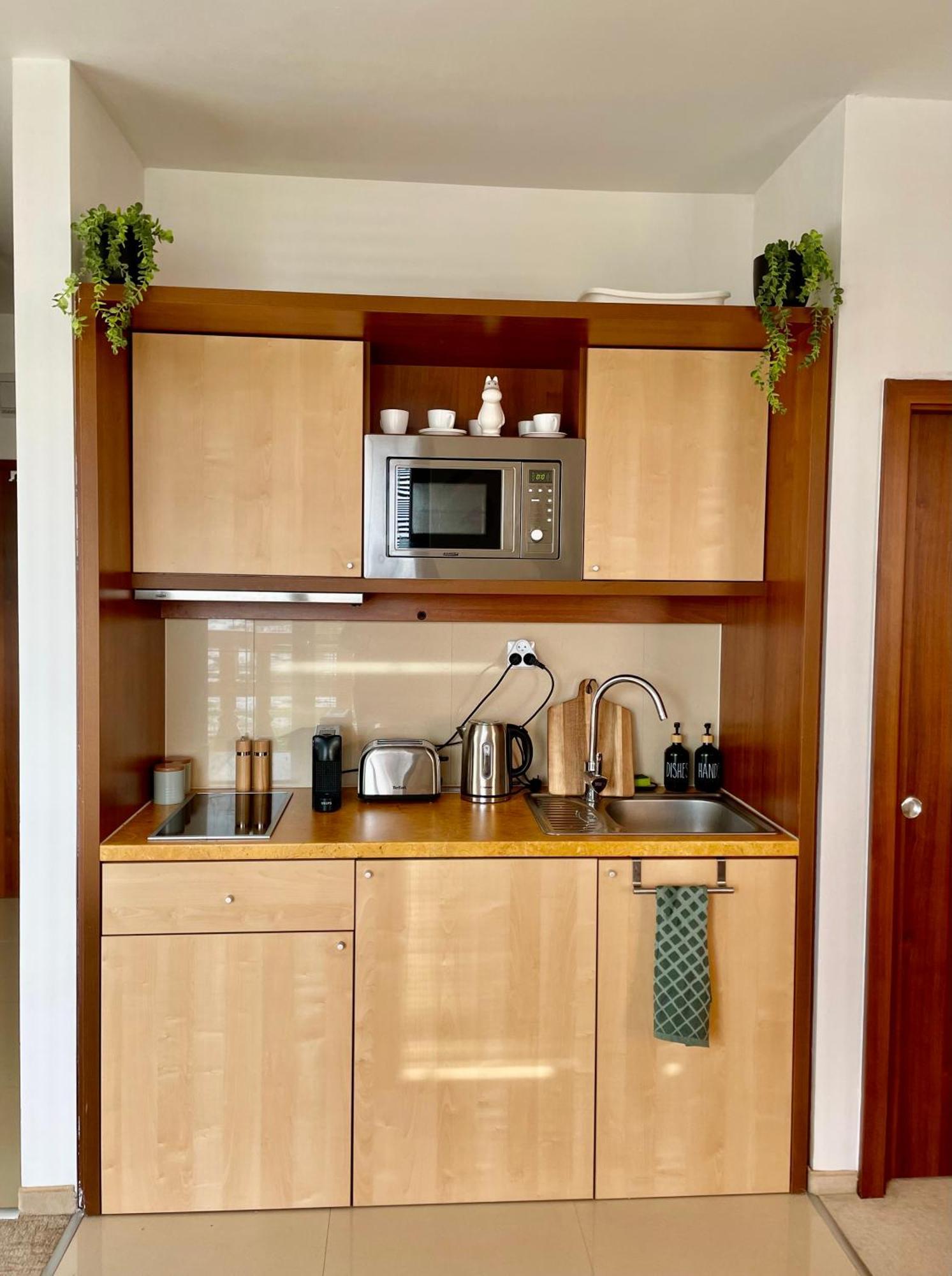 ולקה לומניקה Apartment Kimo - Stunning View Of High Tatras מראה חיצוני תמונה